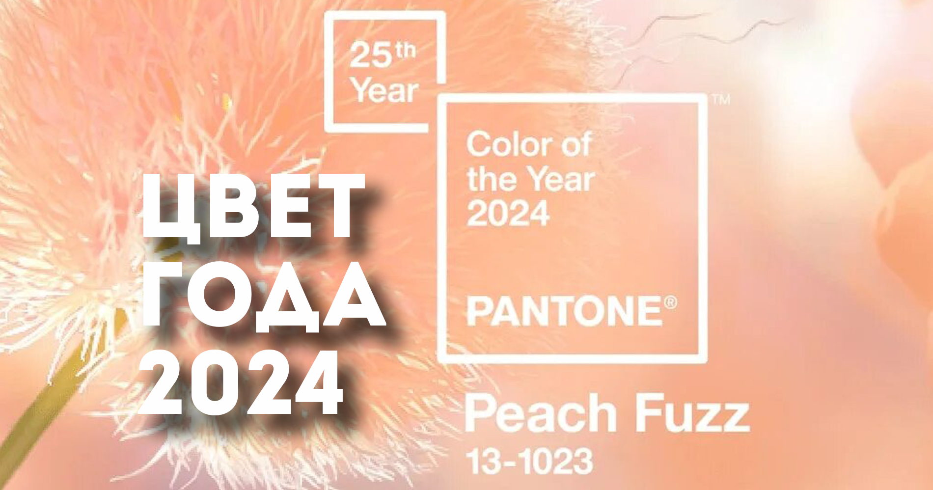 Цвет года 2024